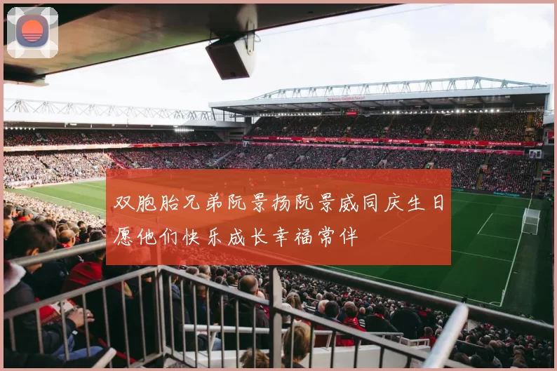 双胞胎兄弟阮景扬阮景威同庆生日愿他们快乐成长幸福常伴