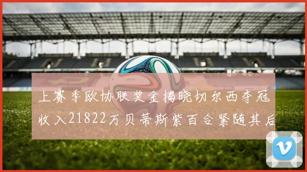 上赛季欧协联奖金揭晓切尔西夺冠收入21822万贝蒂斯紫百合紧随其后